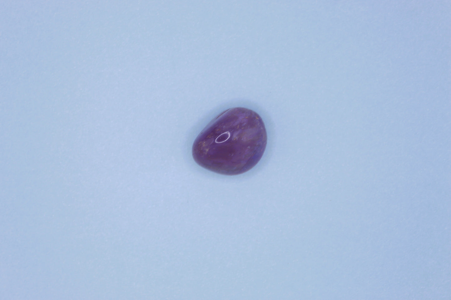Purple bean-like object on a light blue background