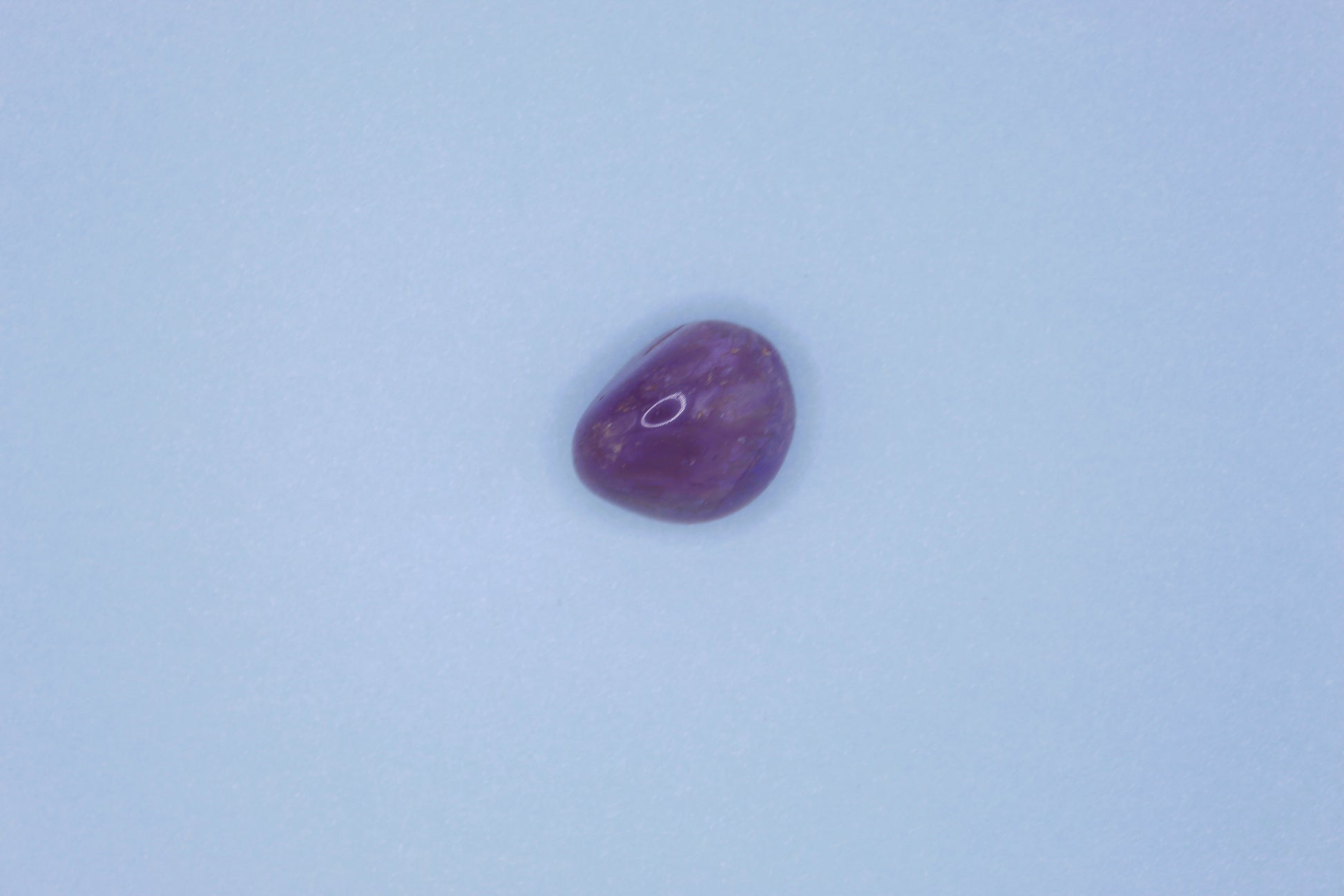Purple bean-like object on a light blue background